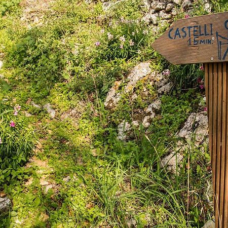 Castelli Olive Press Guest House Acharavi  Ngoại thất bức ảnh